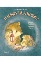 Tu ne dors pas petit ours