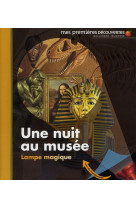 Une nuit au musée