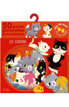 Gomm ptes mains les chatons