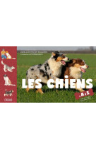 Les chiens de a à z