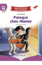 Panique chez mamie  début cp