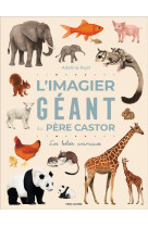 L-imagier geant du pere castor - les bebes animaux