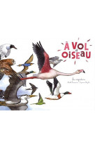 A vol d'oiseau