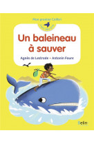 Un baleineau à sauver