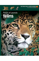 Petits et grands felins