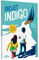 Projet indigo