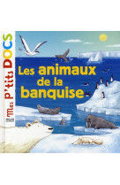 Les animaux de la banquise