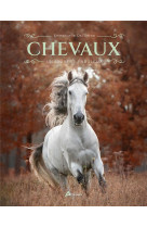 Chevaux : un univers fabuleux