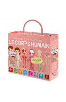 Le corps humain - mes premières activités arts & crafts