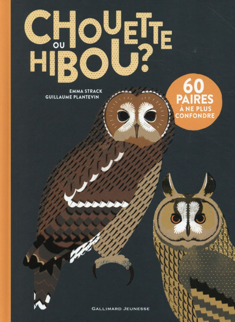 CHOUETTE OU HIBOU ? - STRACK/PLANTEVIN - Gallimard-Jeunesse