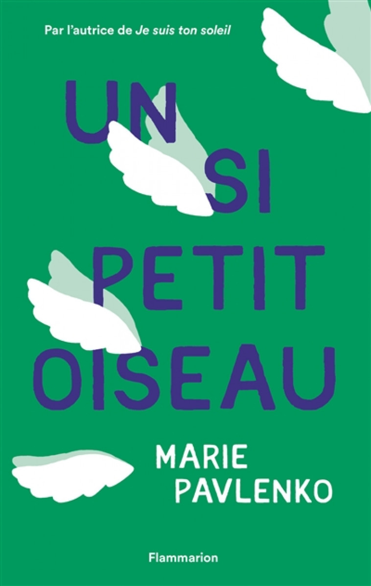 UN SI PETIT OISEAU - PAVLENKO MARIE - FLAMMARION