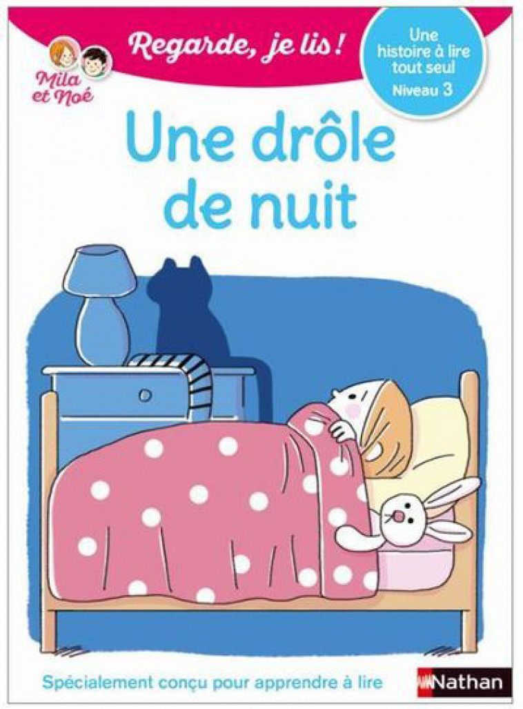 UNE DROLE DE NUIT - NIVEAU 1 - REGARDE JE LIS ! - BATTUT/PIFFARETTI - CLE INTERNAT