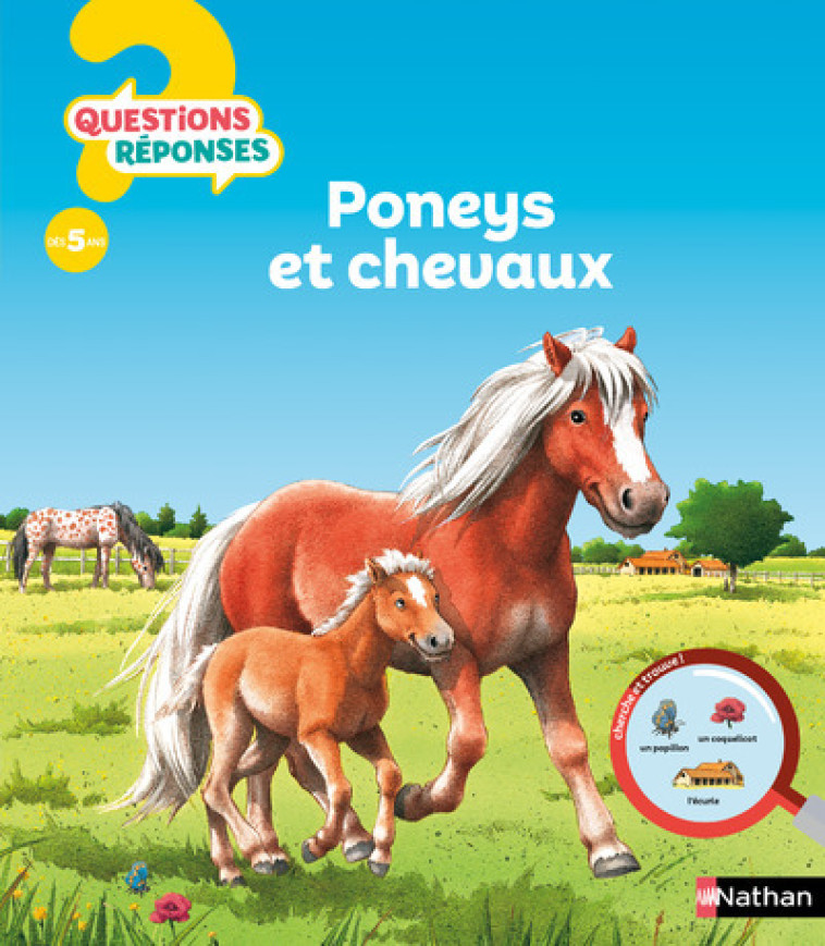 Poneys et chevaux - Anne-Sophie Baumann - NATHAN