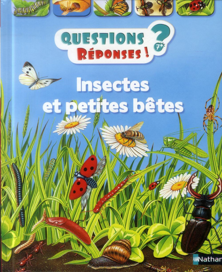 INSECTES ET PETITES BETES - VOL11 - O-NEILL AMANDA - Nathan Jeunesse