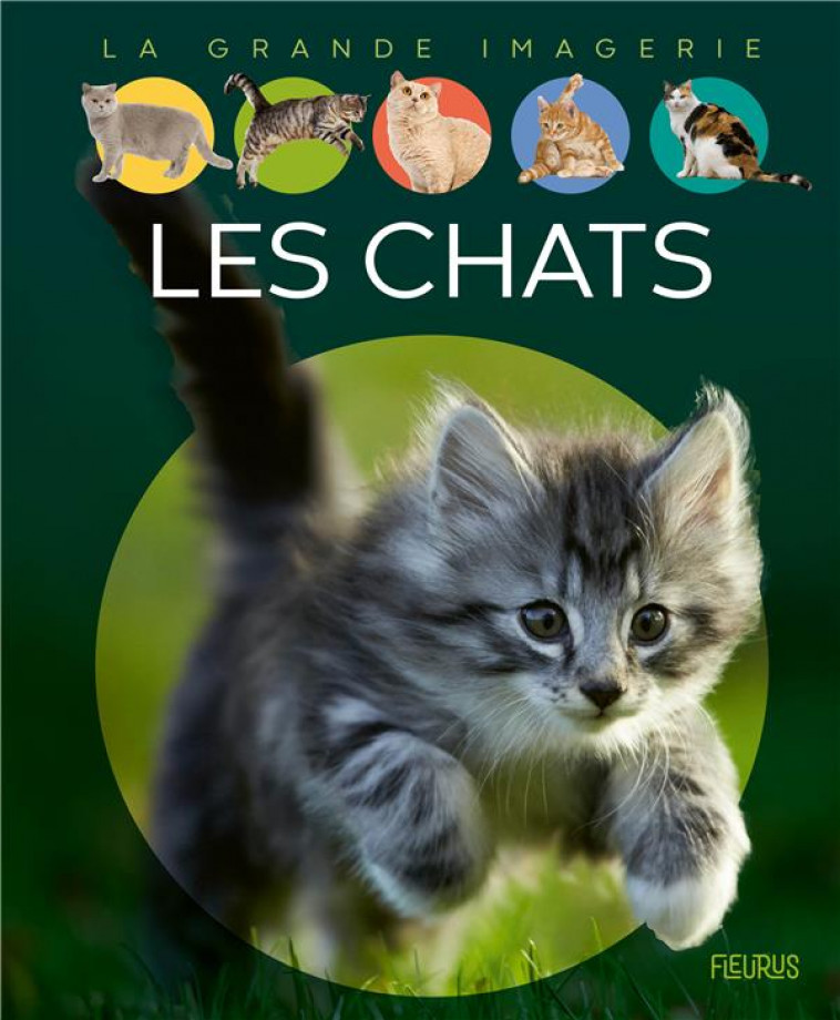 LES CHATS - VANDEWIELE AGNES - FLEURUS