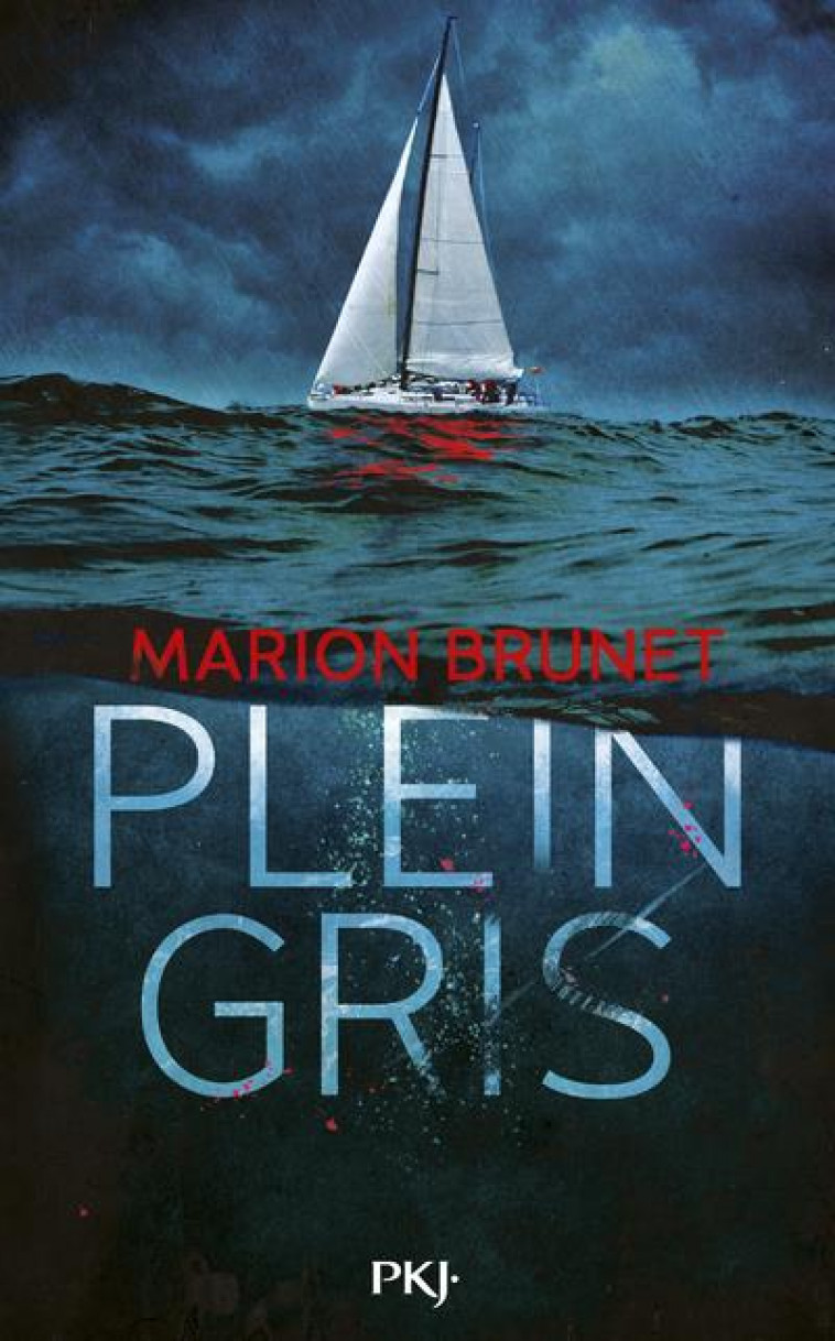 PLEIN GRIS - BRUNET MARION - POCKET