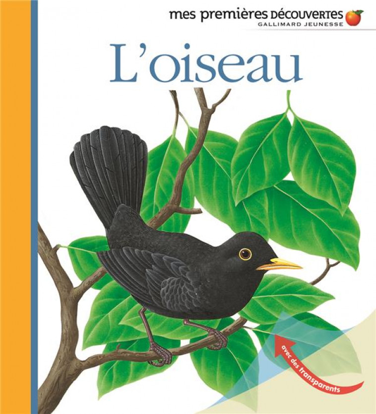 L-OISEAU - COLLECTIF/METTLER - GALLIMARD