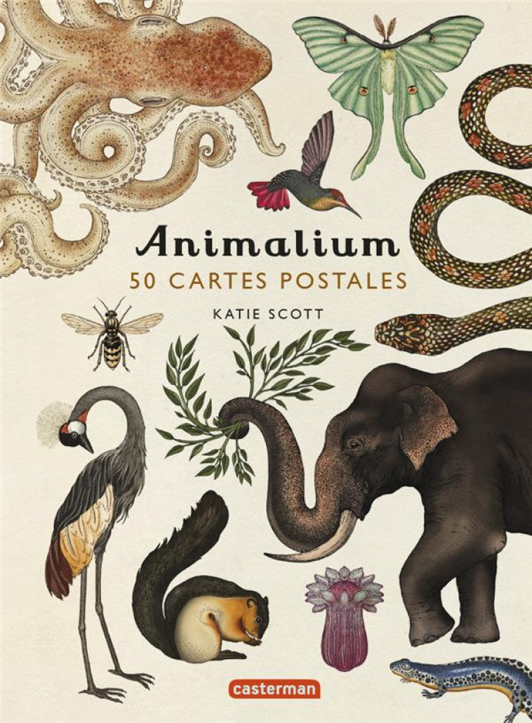 ANIMALIUM - 50 CARTES POSTALES - SCOTT - NC