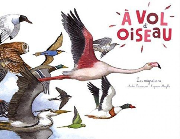 A VOL D'OISEAU (2016) - FRANCESCONI/MAZILLE - Ed. du Ricochet