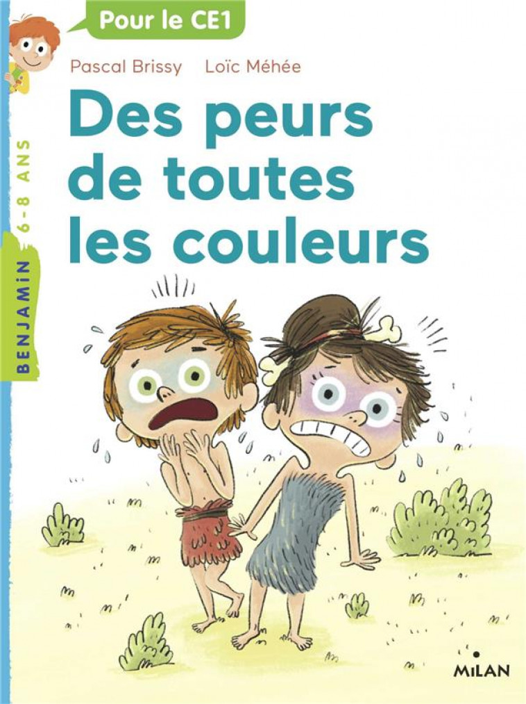 DES PEURS DE TOUTES LES COULEURS - BRISSY/MEHEE - BD Kids