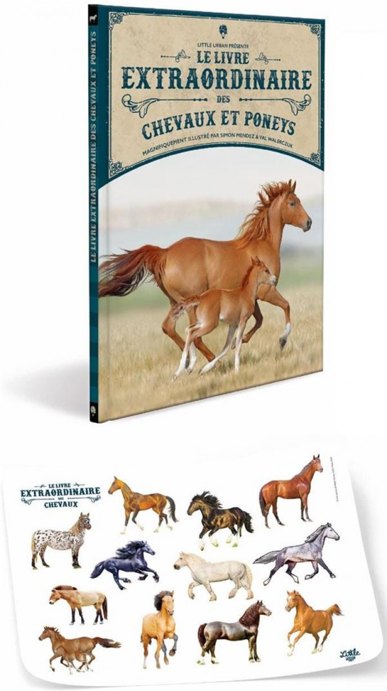 LE LIVRE EXTRAORDINAIRE DES CHEVAUX / NOUVELLE EDITION (+ STICKERS) - WALERCZUK VAL - LITTLE URBAN