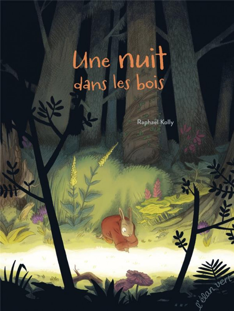 UNE NUIT DANS LES BOIS - KOLLY RAPHAEL - HURTUBISE HMH