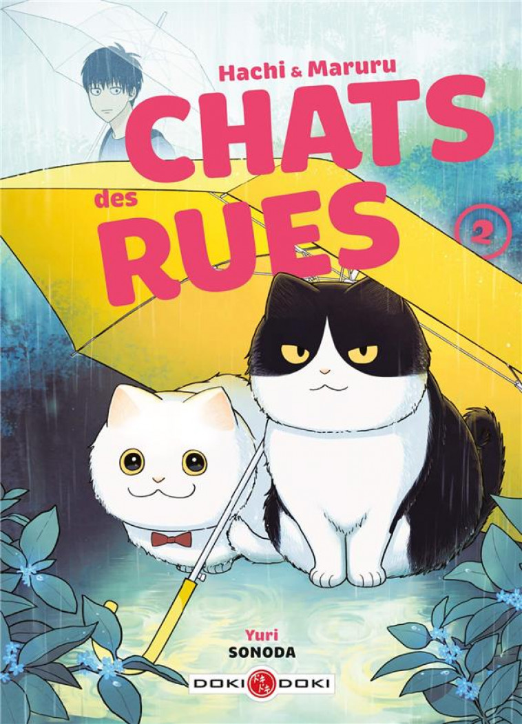 HACHI et MARURU : CHATS DES RUES TOME 2 - SONODA, YURI - BAMBOO