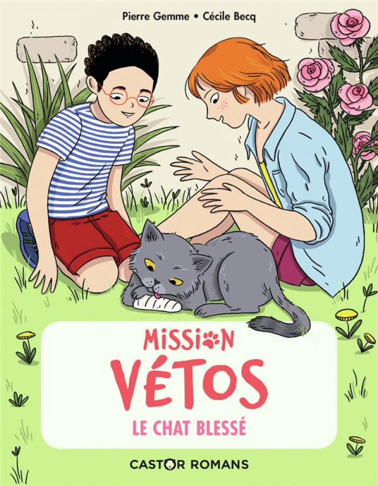 MISSION VETOS - T05 - LE CHAT BLESSE - GEMME/BECQ - FLAMMARION