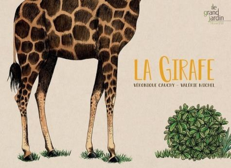 LA GIRAFE - CAUCHY - LE GRAND JARDIN