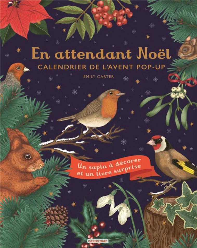 EN ATTENDANT NOEL - CALENDRIER DE L'AVENT POP-UP - CARTER EMILY - CASTERMAN