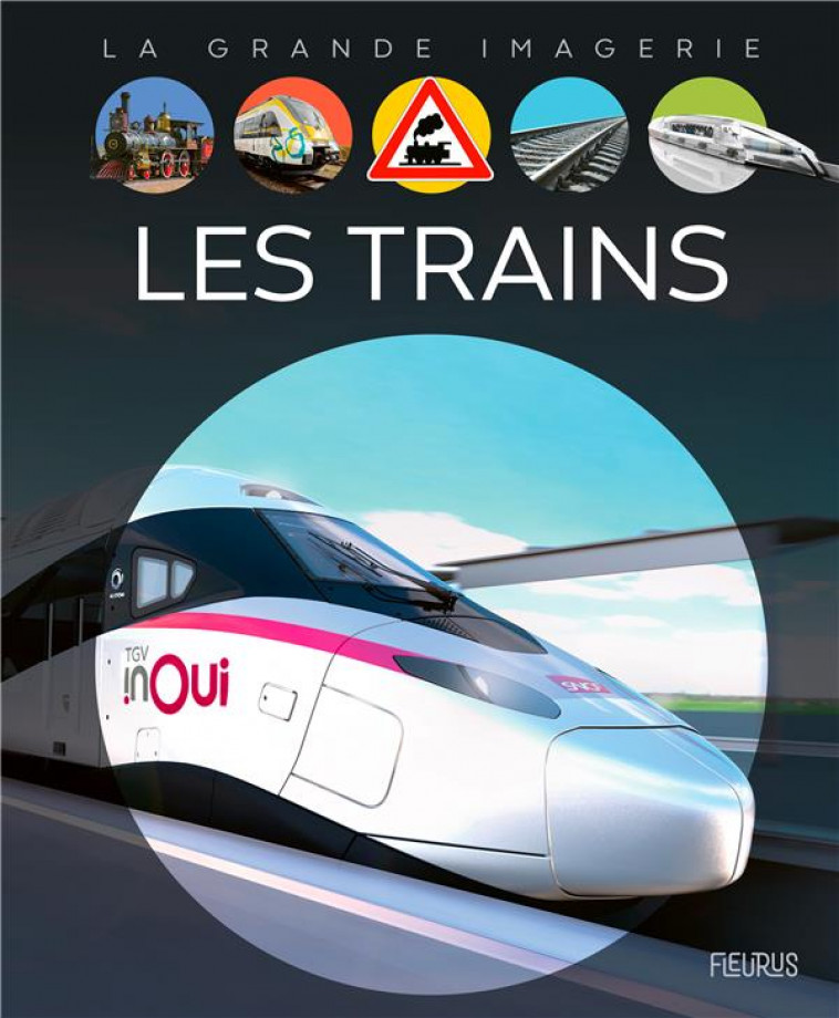 LES TRAINS - VANDEWIELE AGNES - FLEURUS