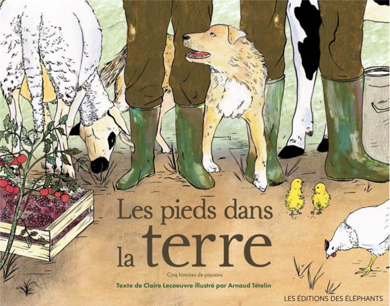 LES PIEDS DANS LA TERRE - CINQ HISTOIRES DE PAYSANS - LECOEUVRE/TETELIN - DES ELEPHANTS