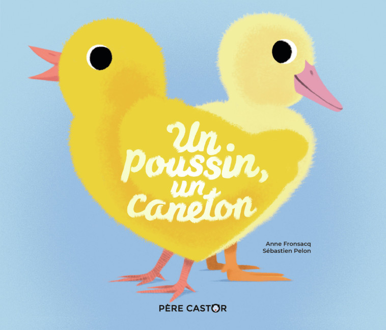 Un poussin, un caneton - Anne Fronsacq, Sébastien Pelon, Anne Fronsacq, Sébastien Pelon, Sébastien Pelon - PERE CASTOR